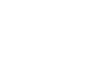 Le Parfum Essence